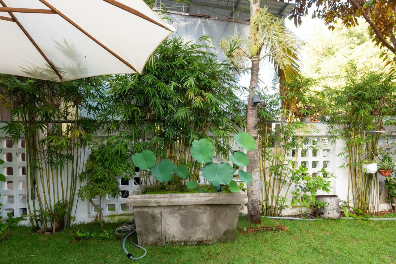 Rice Village Homestay Hoi An Dış mekan fotoğraf