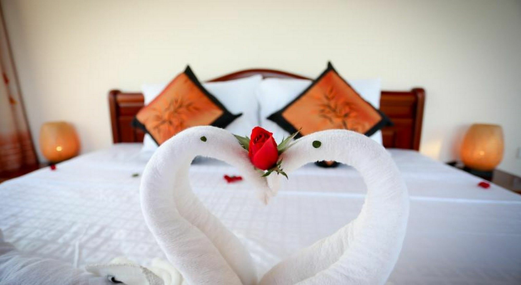 Rice Village Homestay Hoi An Dış mekan fotoğraf